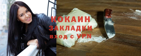 стаф Богданович