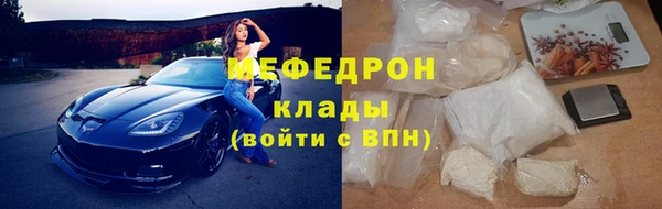 стаф Богданович