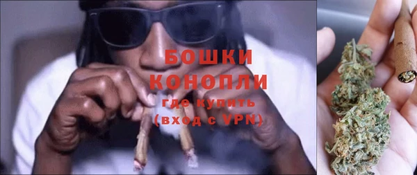 стаф Богданович