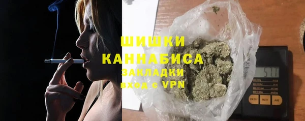 стаф Богданович