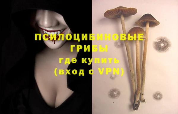 MDMA Premium VHQ Богородицк