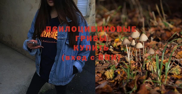 MDMA Premium VHQ Богородицк