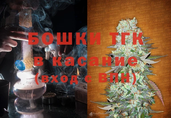 стаф Богданович