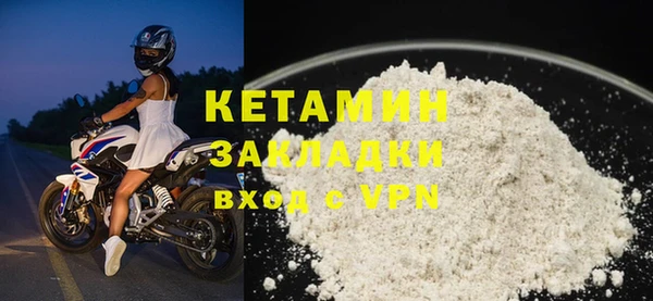 стаф Богданович