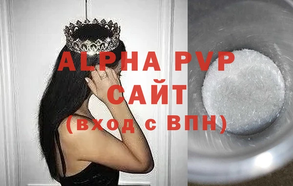 стаф Богданович