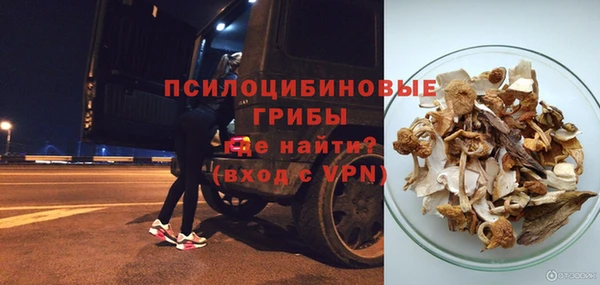 стаф Богданович