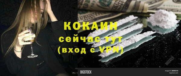 стаф Богданович