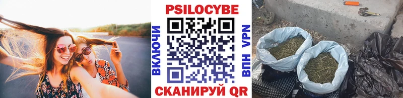 Галлюциногенные грибы мицелий купить наркотики сайты Рыбинск